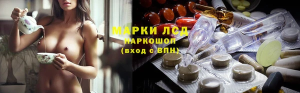 ГАЛЛЮЦИНОГЕННЫЕ ГРИБЫ Алзамай