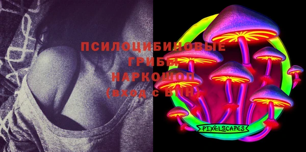 ГАЛЛЮЦИНОГЕННЫЕ ГРИБЫ Алзамай