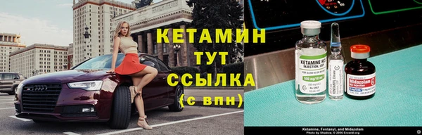 стаф Абинск