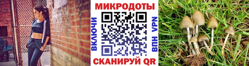 где найти наркотики  Харабали  Псилоцибиновые грибы прущие грибы 